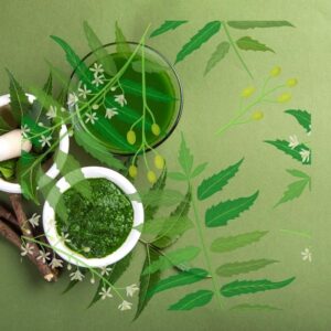 সৌন্দর্য ও রূপচর্চায় নিমের তেল 1 নিমের তেল