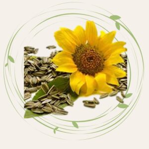 Benefits of Sunflower Seeds