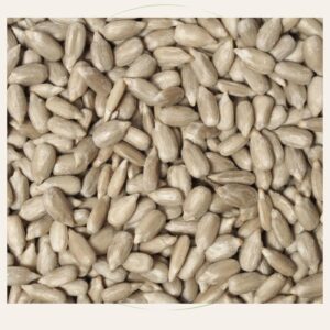 সূর্যমুখী ফুল ও বীজের ১০ উপকারিতা 1 সূর্যমুখী ফুল এবং বীজের উপকারীতা