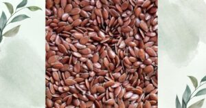 Flax Seed তিসি বীজ