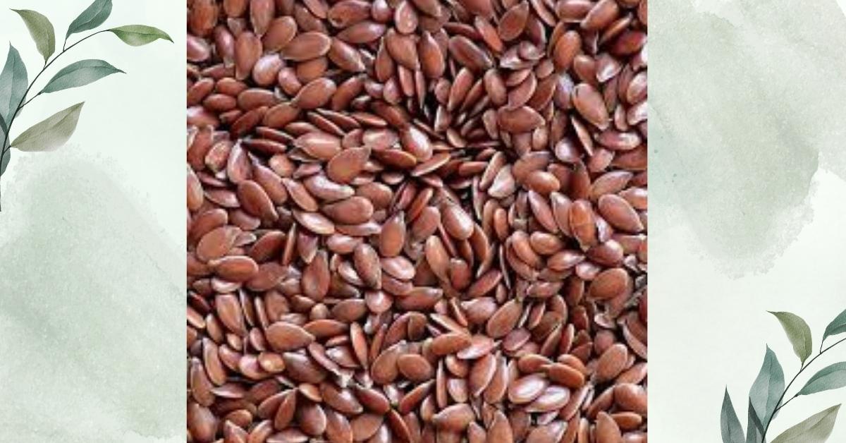 Flax Seed তিসি বীজ