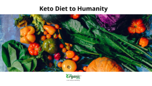 The Biggest Contribution of Keto Diet to Humanity