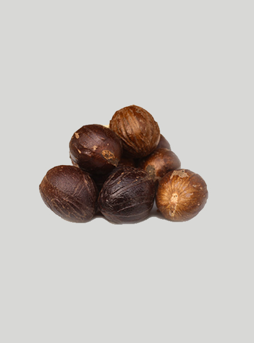My Organic Premium Jayfol/Nutmeg - 5PCs 1 My Organic Premium Jayfol/Nutmeg - 5Pcs