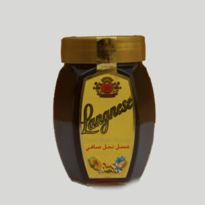 Langnese Pure Bee Honey - 500Gm