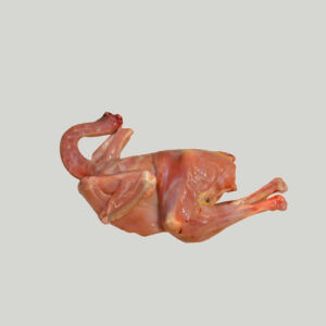 Dressing Chicken (Desi)