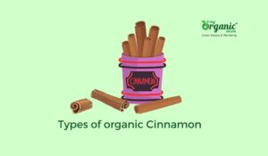 Types of Organic Cinnamon