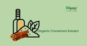 Organic Cinnamon Extract