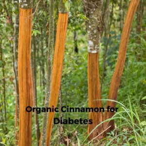 Organic Cinnamon For Diabetes