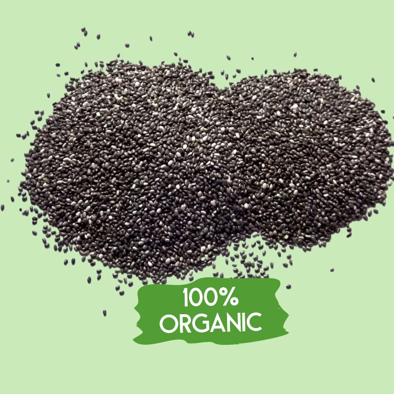 Health Benefits of Nuts and Seeds, Types & Nutrition 13 Benefits Of Organic Chia Seeds