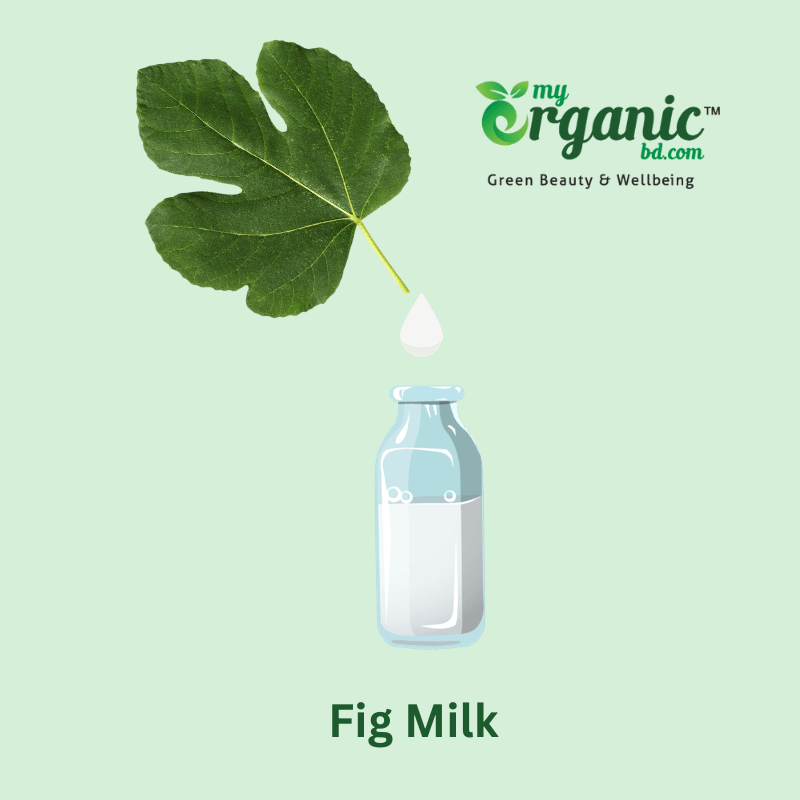 How to make fig milk?