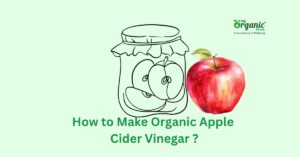 How to make apple cider vinegar at Home? 6 easy steps