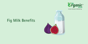 Fig Milk Benefits