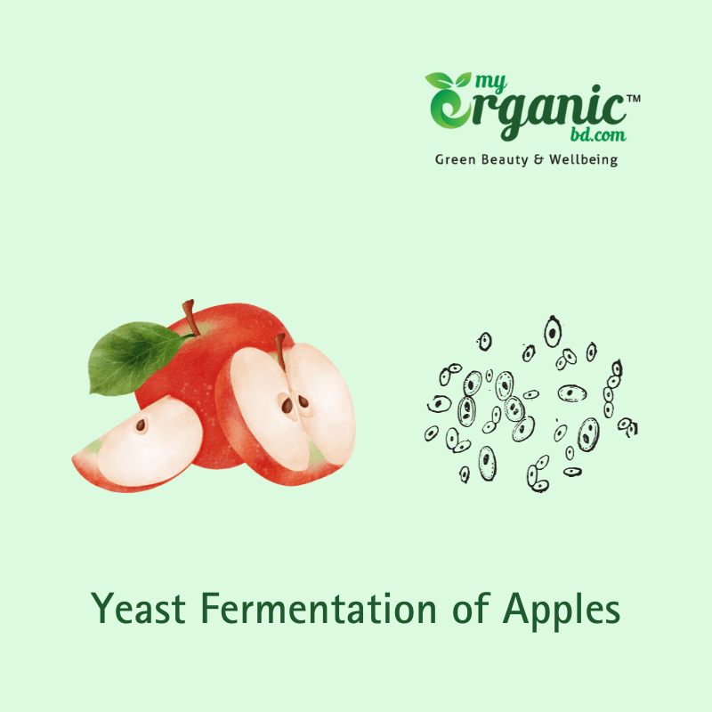 How To Make Apple Cider Vinegar At Home?