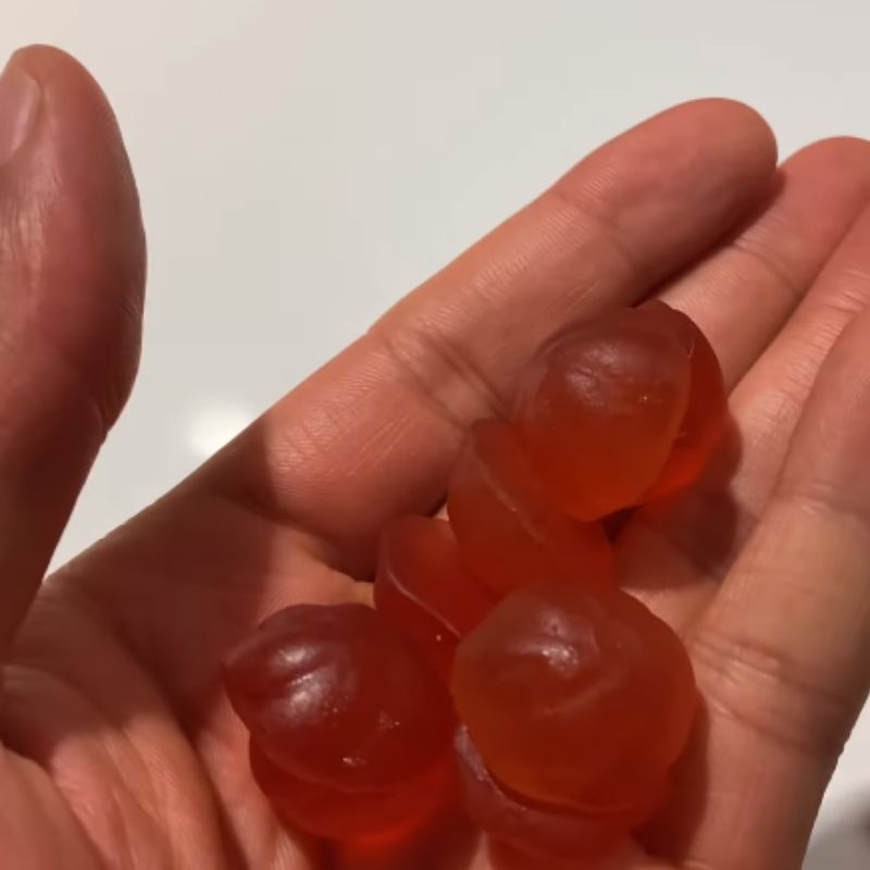 Awesome Goli Apple Cider Vinegar Gummies Review 2 Goli Apple Cider Vinegar Gummies Alternatives