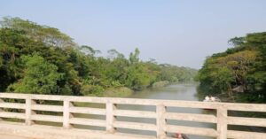 MyOrganic Bd my story