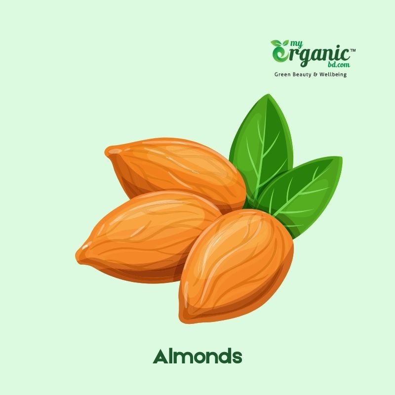 Health Benefits of Nuts and Seeds, Types & Nutrition 1 Almonds