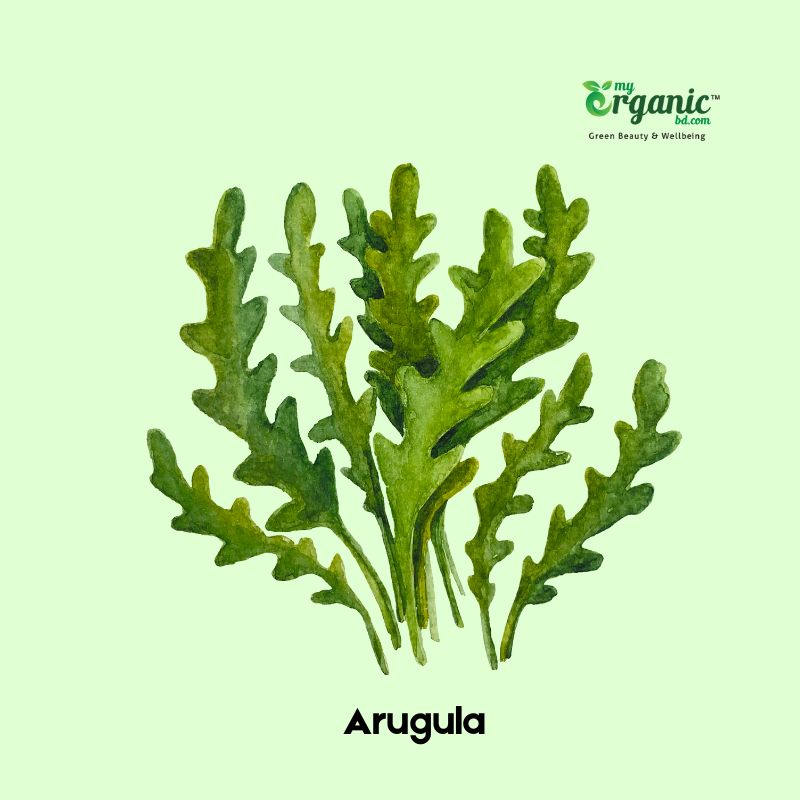 Arugula