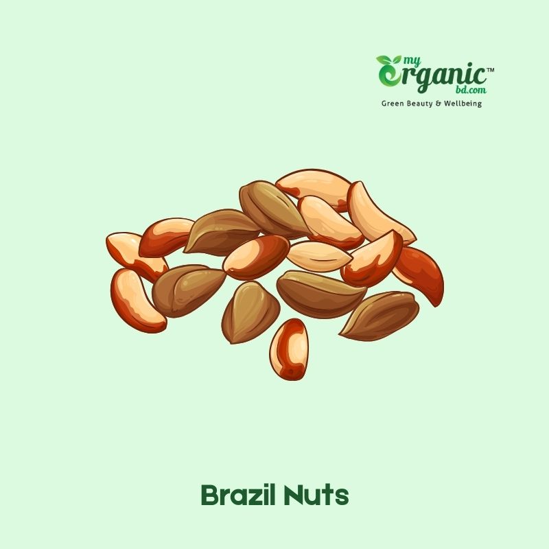 Health Benefits of Nuts and Seeds, Types & Nutrition 8 Brazil Nuts