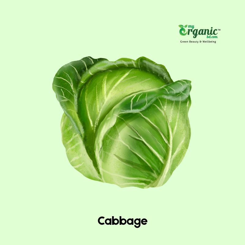 Cabbage