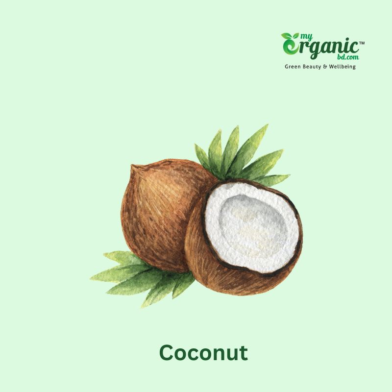 Wellness Beverages for healthy living: A complete guide  3 Coconut