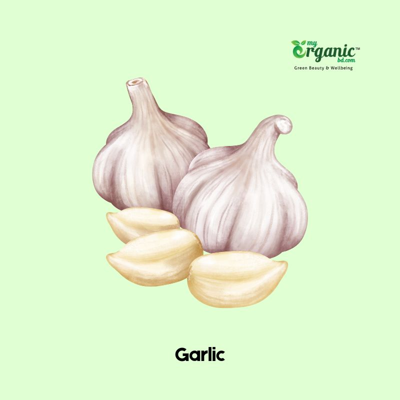 Garlic