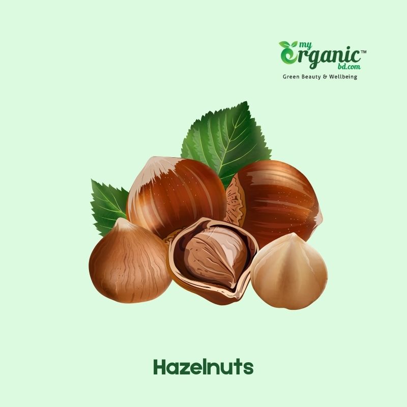 Health Benefits of Nuts and Seeds, Types & Nutrition 3 Hazel Nuts