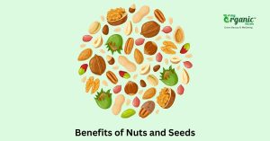 Health Benefits of Nuts and Seeds, Types & Nutrition
