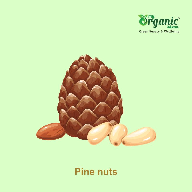 Health Benefits of Nuts and Seeds, Types & Nutrition 6 Pine Nuts