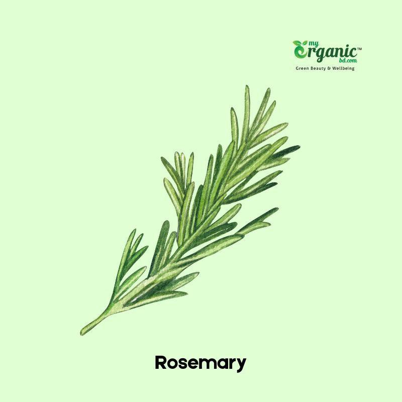 Rosemary