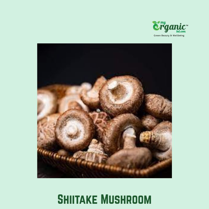 Best Medicinal Mushrooms: Proven Benefits, Wellness, Lists, Uses 6 Shiitake Mushroom