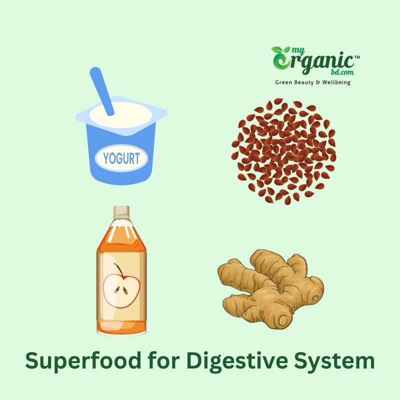 Superfoods for wellness : An Honest Guide for Beginners  6 Superfood For Digestive System
