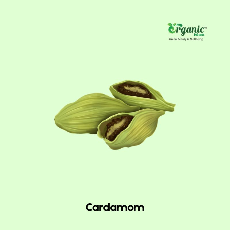 cardamom