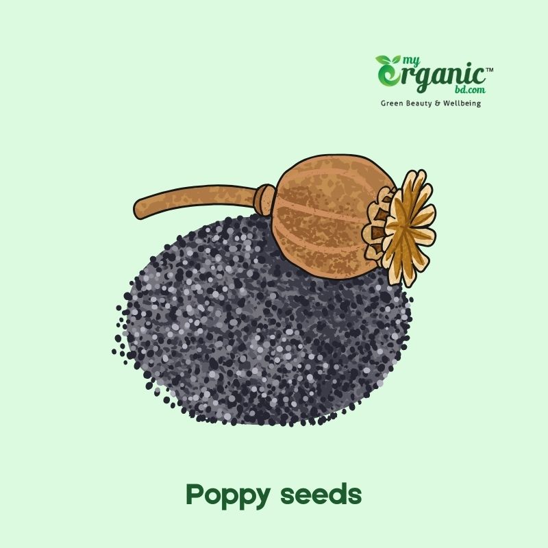 Health Benefits of Nuts and Seeds, Types & Nutrition 17 Poppy Seeds