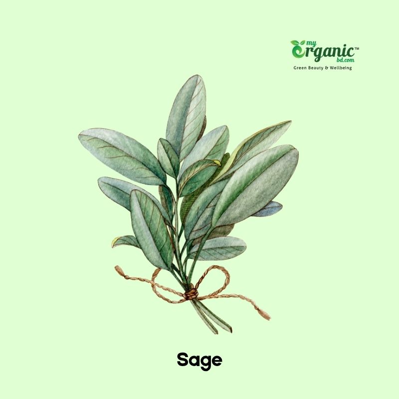 sage