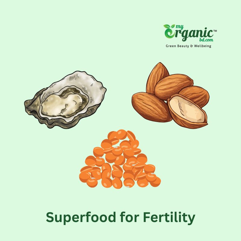 Superfoods for wellness : An Honest Guide for Beginners  10 Superfoods For Fertility