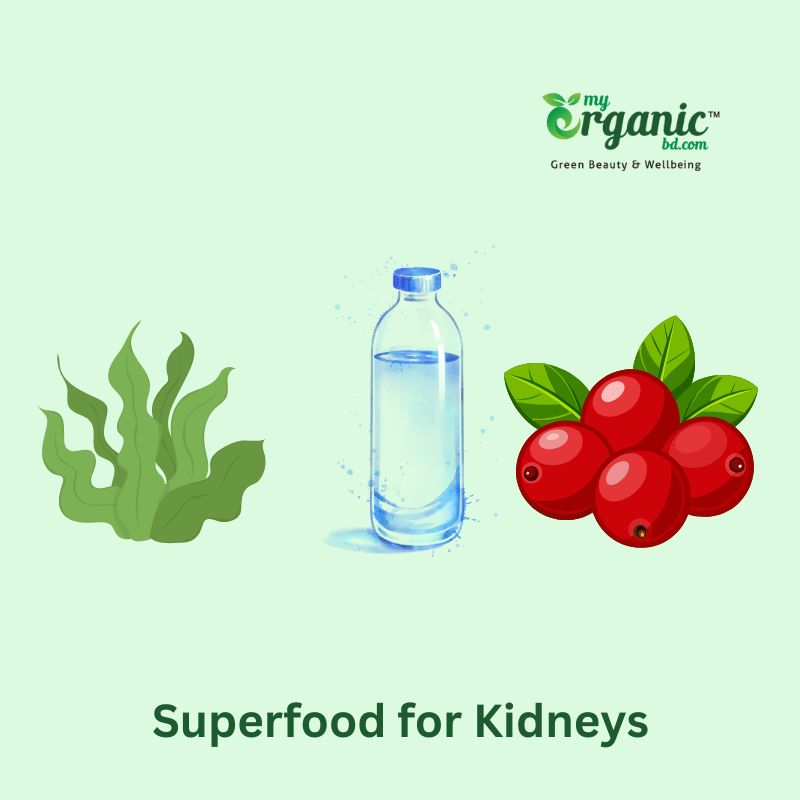 Superfoods for wellness : An Honest Guide for Beginners  11 Superfoods For Kidneys