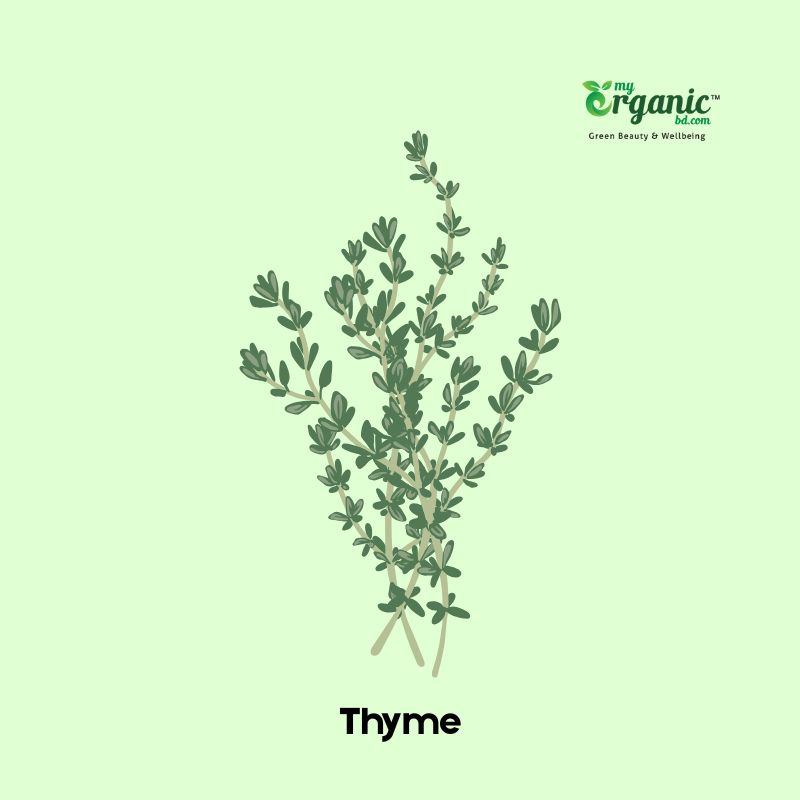 thyme