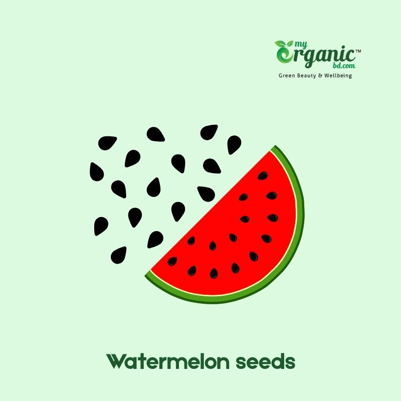 Health Benefits of Nuts and Seeds, Types & Nutrition 22 Water Melon Seeds